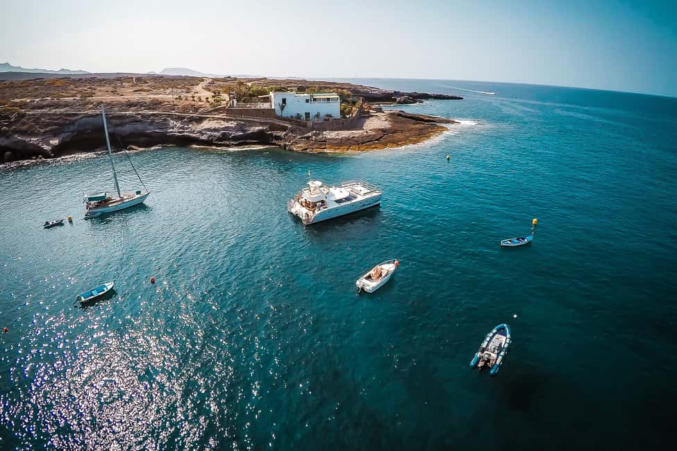 billede nr.7 af aktiviteten Tenerife: Marine-Life Tour med transfer, buffet og drikkevarer i Costa Adeje, uploadet af udbyder