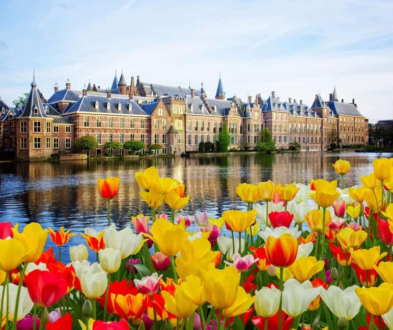image n.1 of Rotterdam, Hague & Delft Private Tour from Amsterdam by Car activity in Rotterdam, uploaded by supplier