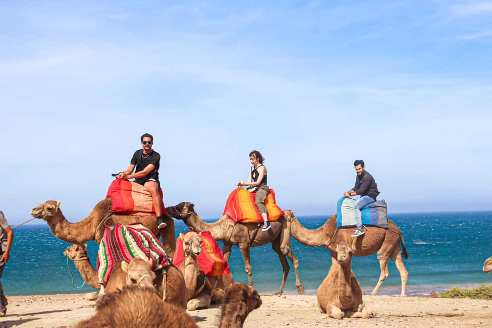 imagen n.º 4 de Desde Tánger: Excursión de día completo a Tánger, Asilah y Cabo Espartel actividad en Tánger, subida por el proveedor
