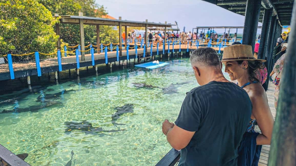 image n.6 of Caribbean Getaway: Rosario- Barú- Oceanarium & Tierra Bomba activity in Cartagena, uploaded by supplier