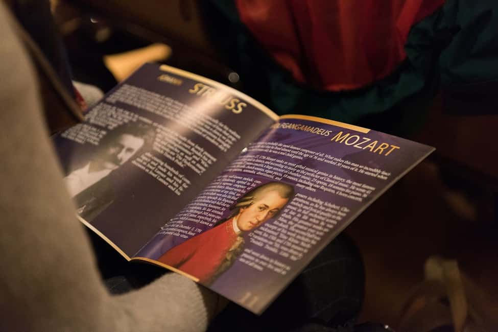 image n.7 of Vienna: Classical Concert at Eschenbach Palace activity in Vienna, uploaded by supplier