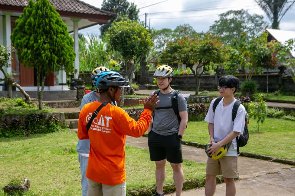 image n.12 of Ubud: Downhill Cycling with Volcano, Rice Terraces, and Meal activity in South Batur, uploaded by supplier