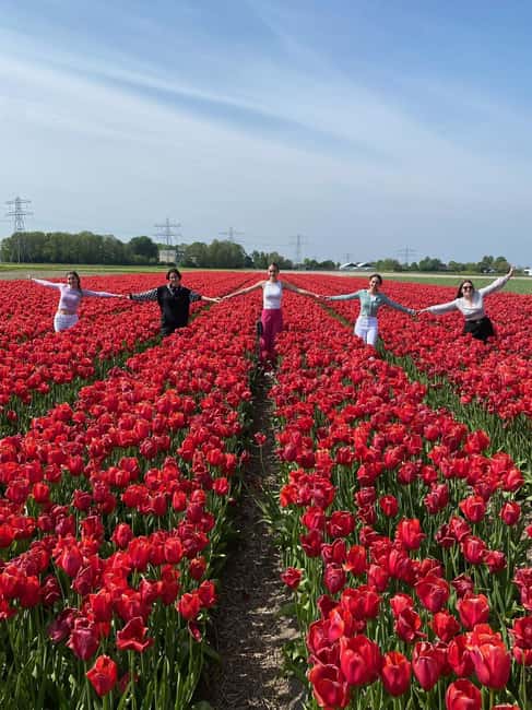 image n.11 of Amsterdam: Tulip Farm Visit, Keukenhof, and Windmill Cruise activity in Voorhout, The Netherlands, uploaded by supplier