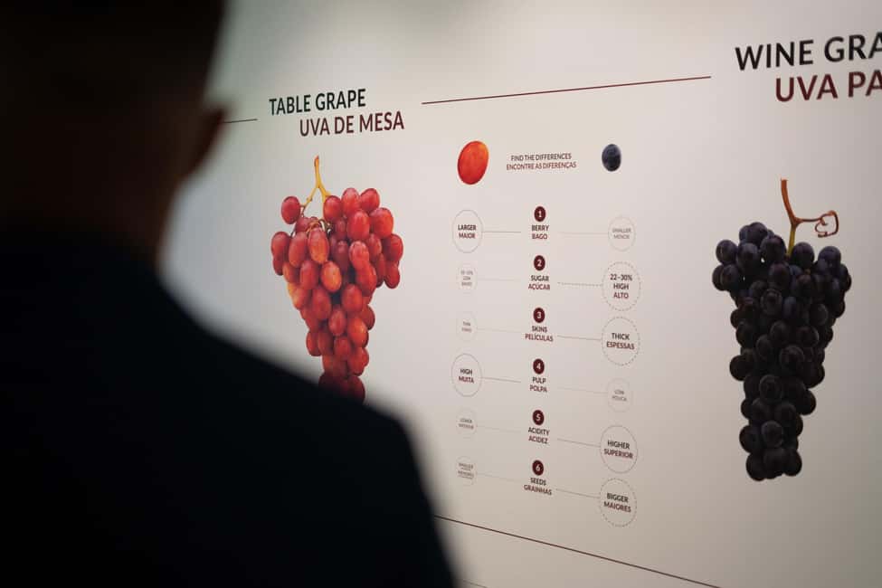 image n.4 of Porto: Taylor’s Port Cellar Tour & WOW Wine Experience activity in Vila Nova de Gaia, uploaded by supplier