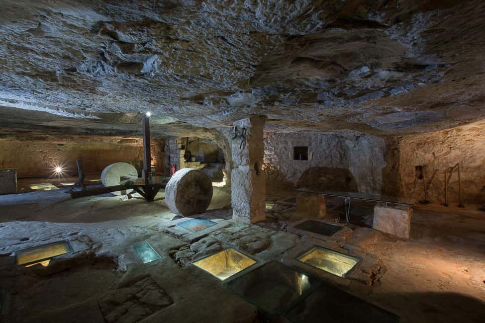 Immagine nº 3 di Ostuni: tour di degustazione di olio d'oliva attività a Ostuni, caricata dal fornitore