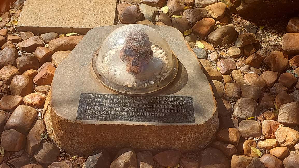 imagem n.2 de De Joanesburgo: Excursão particular de meio dia ao Berço da Humanidade atividade em Krugersdorp, carregada pelo fornecedor