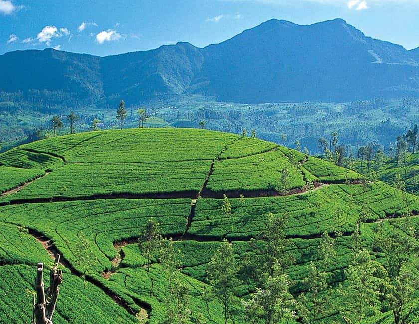 image n.4 of Kandy to Ella First Class Scenic Hill Country Train Journey activity in Mahanuvara, uploaded by supplier