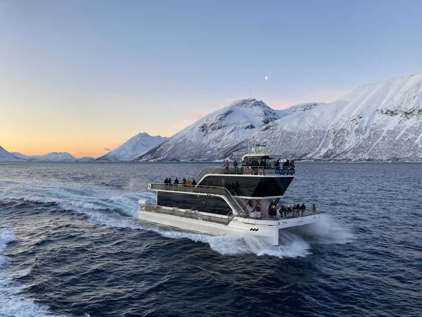 image n.9 of Tromsø: Arctic Fjord Cruise With Stop On Land At Fish Racks activity in Barents Sea, uploaded by supplier