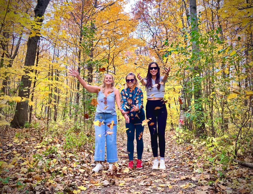 image n.11 of Montreal's Mount Royal Tour activity in Montreal, uploaded by supplier