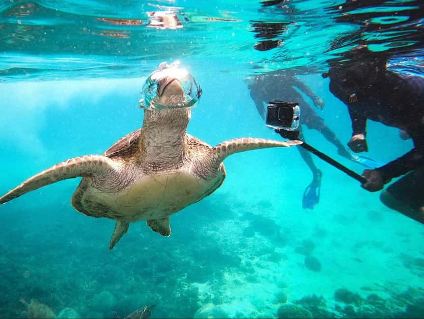 Immagine nº 5 di Muscat: gita di snorkeling alle isole Daymaniat con pranzo attività a Oman, caricata dal fornitore