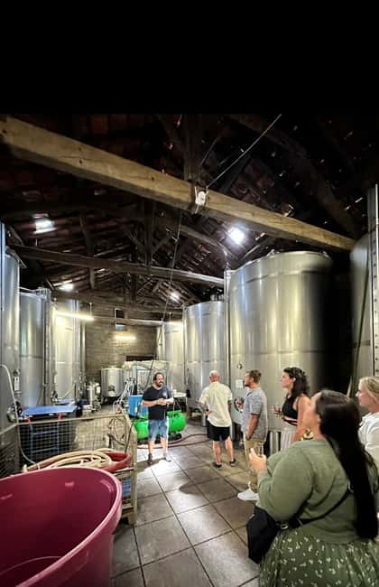 image n.12 of DOURO VALLEY: Premium Wine Tour, Winery Lunch & Private Boat activity in Peso da Régua, uploaded by supplier