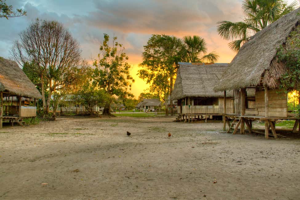 image n.2 of Iquitos | Amazon Tour | 4D/3N in Amazon Rainforest Jungle activity in Huanuco Region, uploaded by supplier