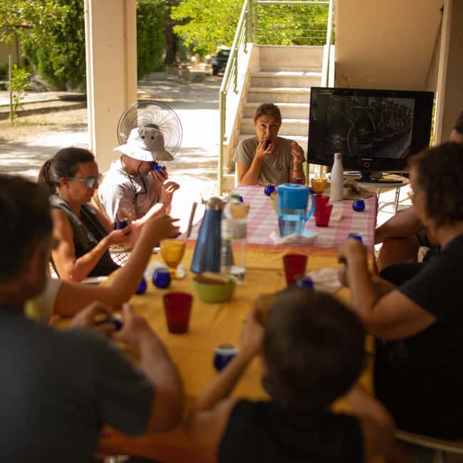 Obraz nr 8 z atrakcji Nafplio: Wycieczka po gospodarstwie oliwnym i degustacja oliwy z oliwek w Peloponez, przesłany przez organizatora