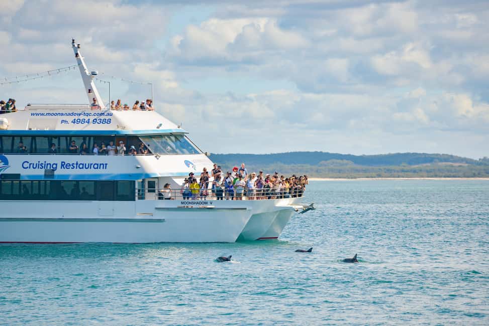 image n.7 of Port Stephens: Dolphin Watching Cruise activity in Nelson Bay, uploaded by supplier