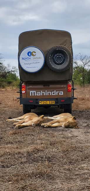 image n.17 of From Zanzibar: Day Selous Game Reserve Safari with Flights activity in Morogoro Region, uploaded by supplier