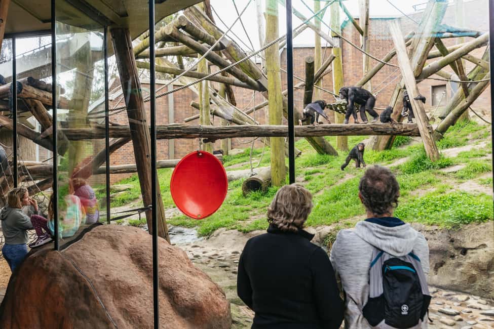 image n.22 of Sydney: Taronga Zoo Tickets activity in Sydney, uploaded by supplier