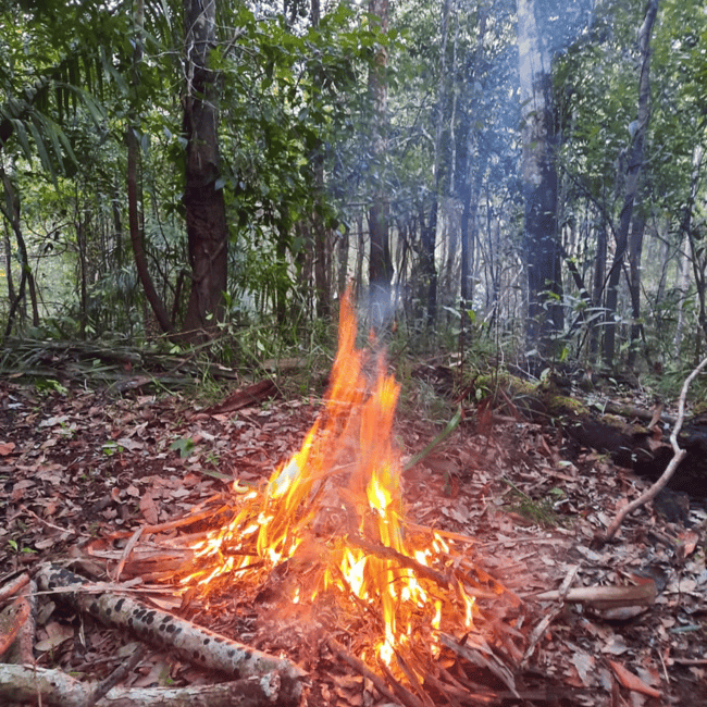 imagen n.º 5 de Manaos: 2, 3 ó 4 días en la Experiencia Supervivencia Amazónica actividad en Manaos, subida por el proveedor