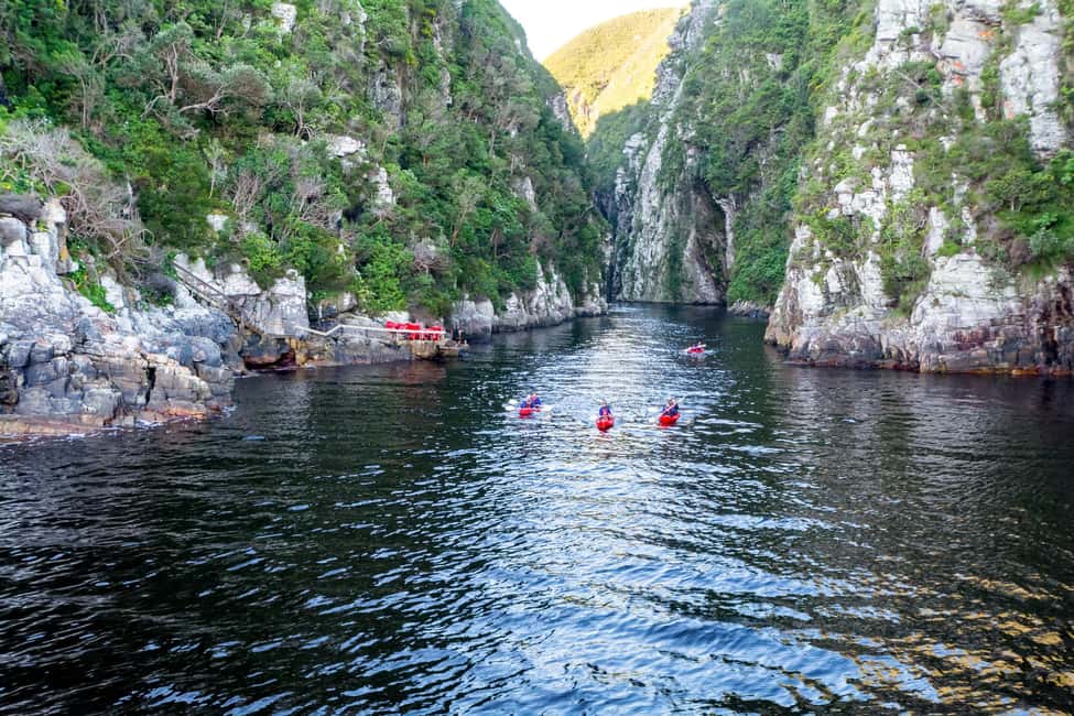 image n.3 of 3 Day Garden Route All-inclusive Private Tour from Cape Town activity in Oudtshoorn, uploaded by supplier