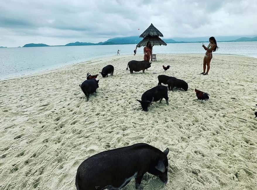 image n.10 of Koh Samui: Jetski Safari, Snorkeling to Pig & Virgin Islands activity in Surat Thani Province, uploaded by supplier