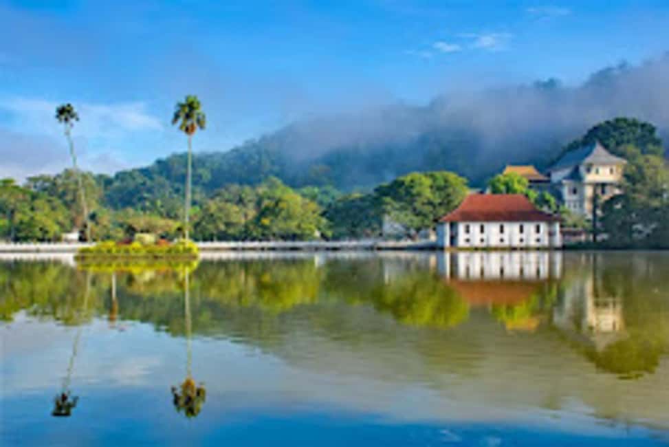Image N°9 de Kandy, Pinnawala et usine de thé - excursion d'une journée au départ de Negombo activité à Kandy, publiée par le prestataire
