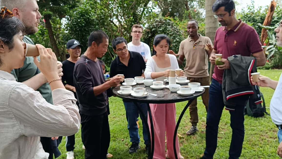 image n.8 of Coffee Farm Tour (Fairview) activity in Kiambu, uploaded by supplier