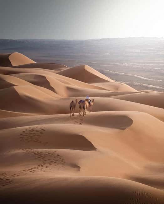 Immagine nº 51 di Avventura nel deserto di Wahiba , Nuoto nel Wadi Bani Khalid attività a Regione al-Sharqiyya, caricata dal fornitore