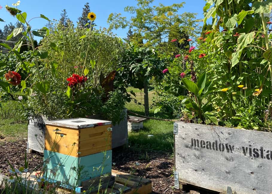 image n.5 of Kelowna: E-Bike Bee Tour w/ Tastings, Lunch, and Audioguide activity in Kelowna, uploaded by supplier