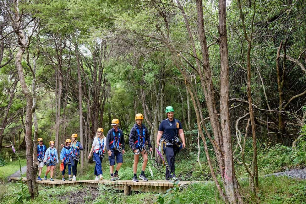 image n.11 of Kaikōura: Zipline and Native Forest Adventure Trip activity in Kaikoura, uploaded by supplier