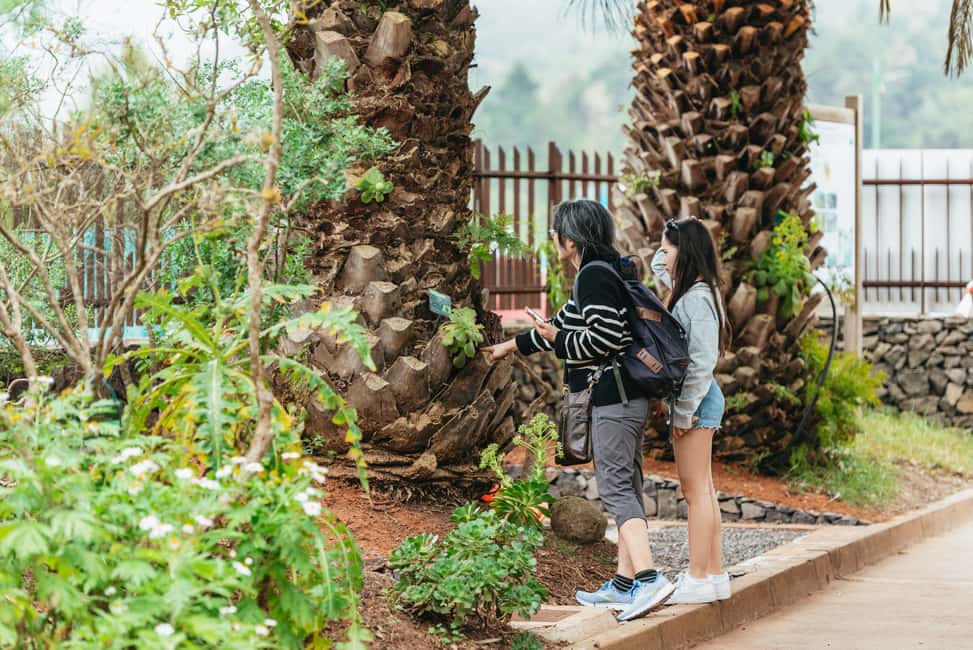 Bild Nr. 19 von Vom Süden Teneriffas: Tagestour zur Insel La Gomera mit Mittagessen Aktivität in Hermigua, hochgeladen vom Anbieter