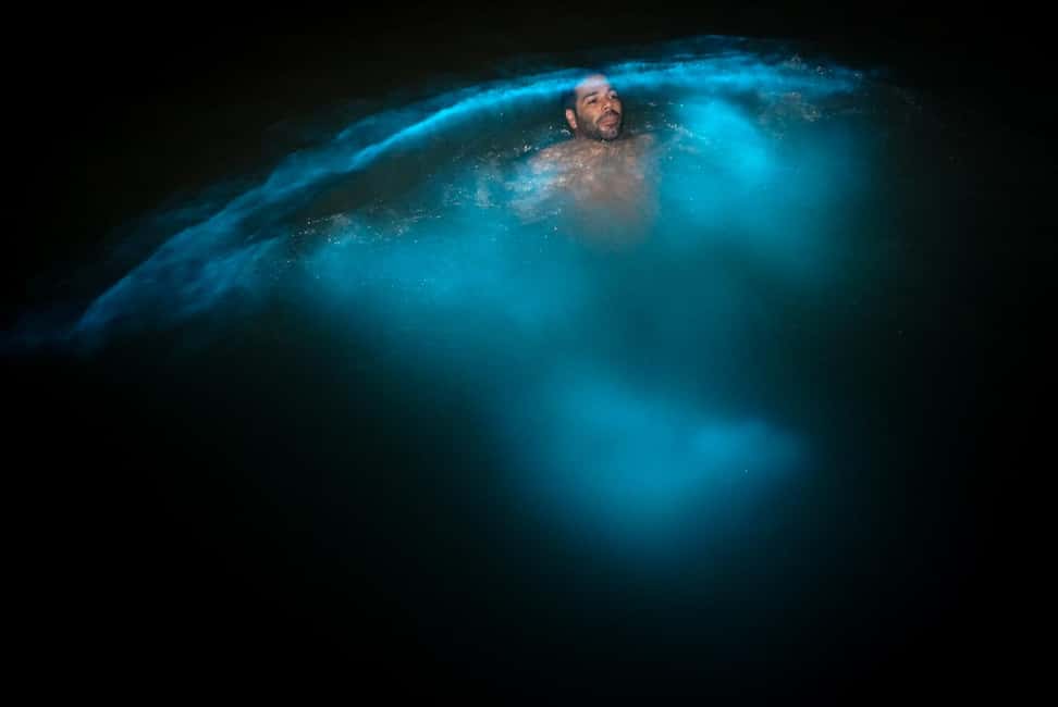 imagem n.10 de Excursão a Bob Marley, Blue Hole, Secret Falls e Luminous Lagoon atividade em Kingston, Jamaica, carregada pelo fornecedor