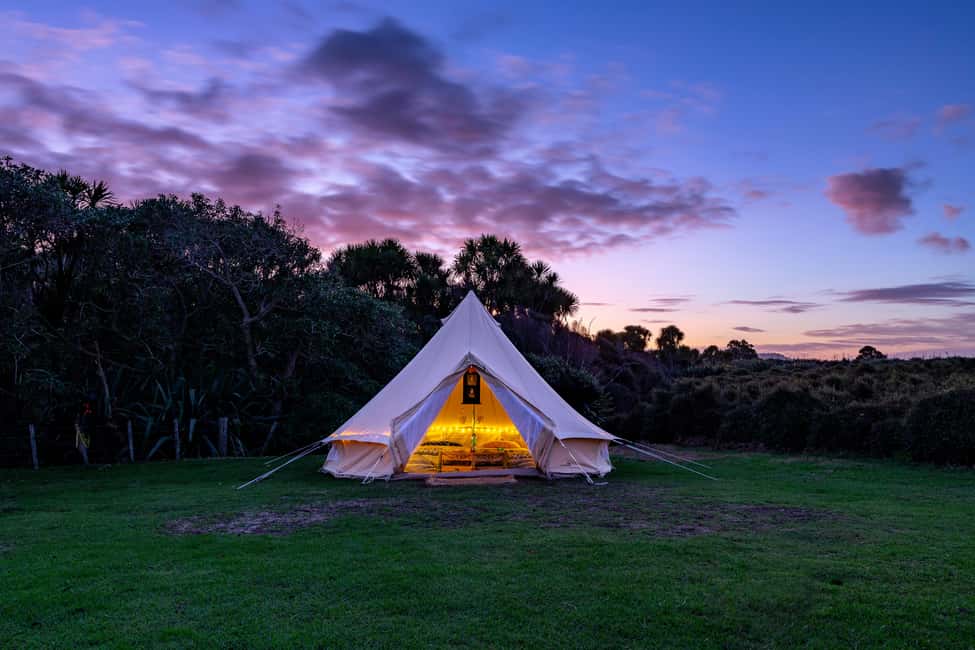 image n.8 of Tawharanui: Kiwi Spotting & Stargazing Tour w/ Optional Stay activity in Auckland, uploaded by supplier