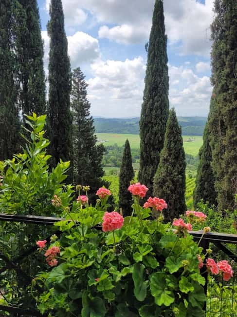 Bild Nr. 8 von Bio-Wein- und Lebensmittelverkostung in der historischen Fattoria Majnoni Aktivität in San Gimignano, hochgeladen vom Anbieter
