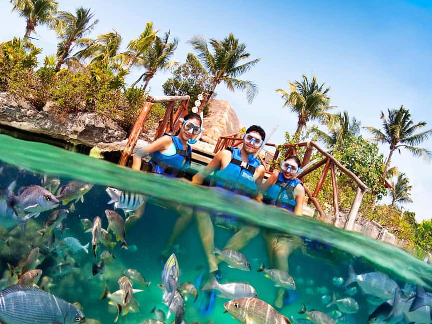 image n.6 of From Playa del Carmen: Xel-Há All-Inclusive Park activity in Quintana Roo, uploaded by supplier