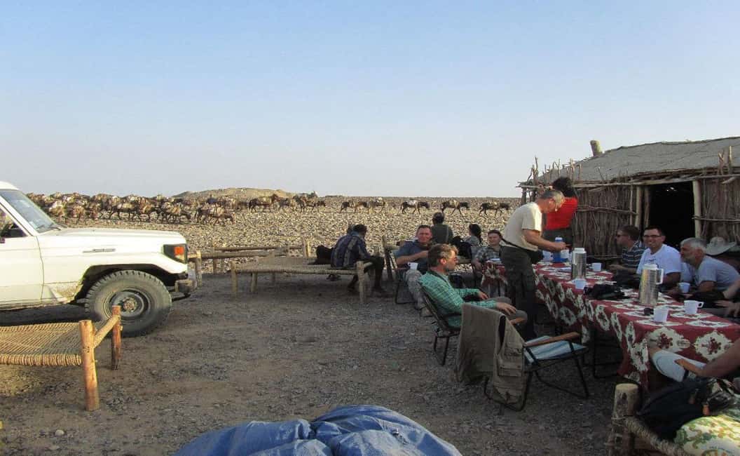 image n.8 of 3-Day Danakil Depression A Journey into Earth’s Fiery Heart activity in Addis Ababa Metropolitan Area, uploaded by supplier