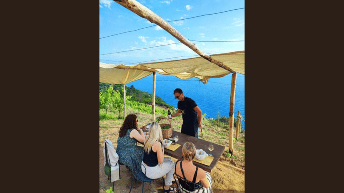 image n.14 of Volastra: BarCa Wine Tasting in Cinque Terre and Pesto Class activity in Volastra, uploaded by supplier