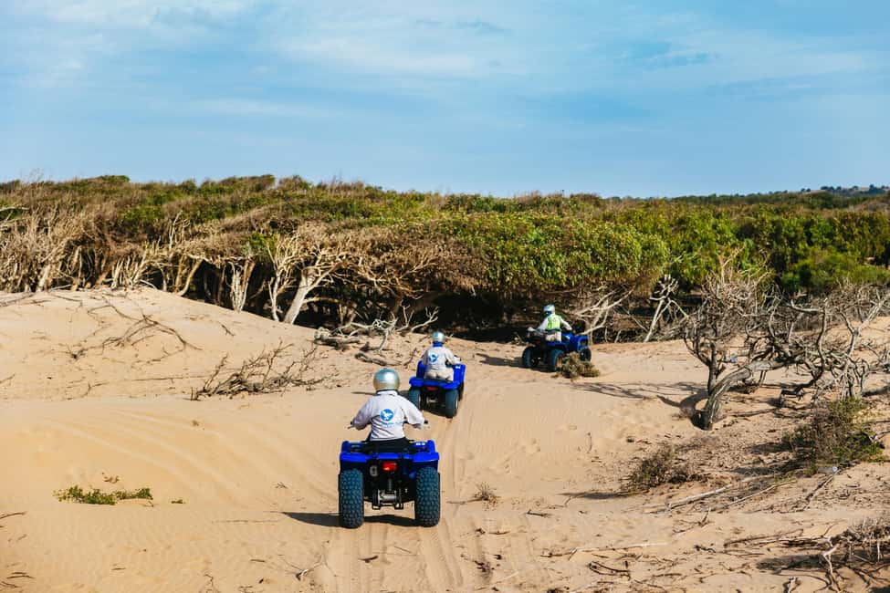 image n.8 of Essaouira Sand Dunes: Half Day Quad Bike Tour activity in Essaouira, uploaded by supplier