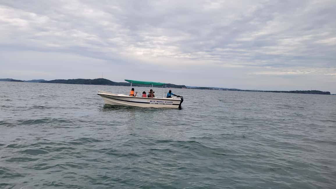 image n.1 of Trincomalee: Whales & Dolphin Watching Tours activity in Nilaveli, uploaded by supplier