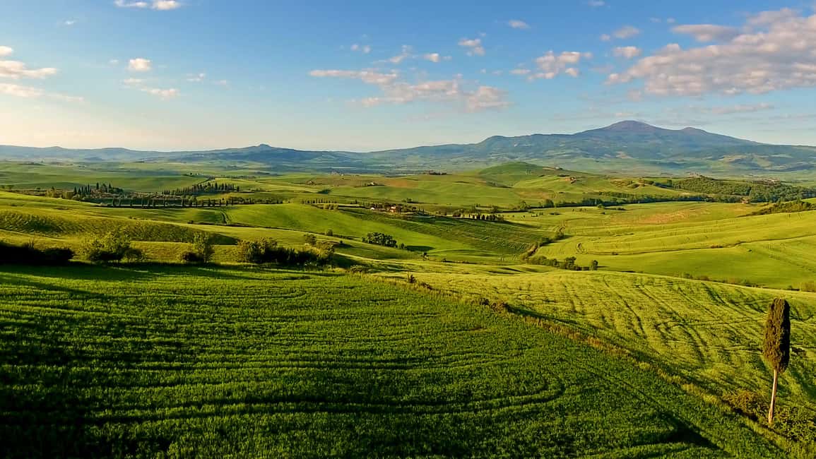 Immagine nº 1 di Firenze: Tour privato del Chianti, Montalcino e Montepulciano attività a Firenze, caricata dal fornitore