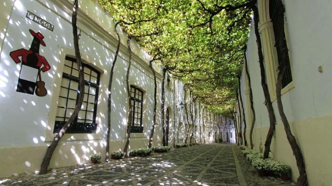 image n.3 of Jerez: 1.5-Hour Sherry Winery and Tasting Tour activity in Jerez de la Frontera, uploaded by supplier