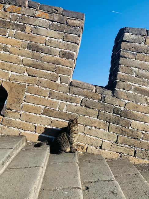 image n.13 of Beijing: Great Wall Layover Tour with a Native activity in Beijing, uploaded by supplier