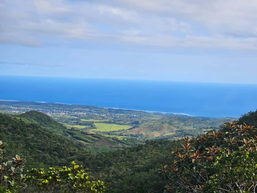 image n.6 of Mauritius: Sights of the South Private Tour with Rum Tasting activity in Chamarel, uploaded by supplier