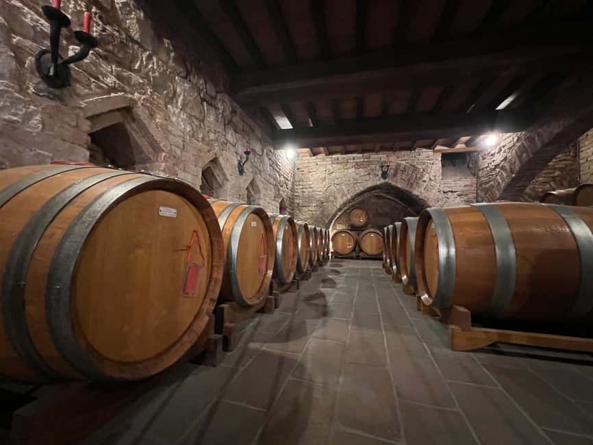 Immagine nº 11 di Il tour completo dell'Amarone: 2 cantine, pranzo e approfondimento sull'Amarone attività a Verona, caricata dal fornitore