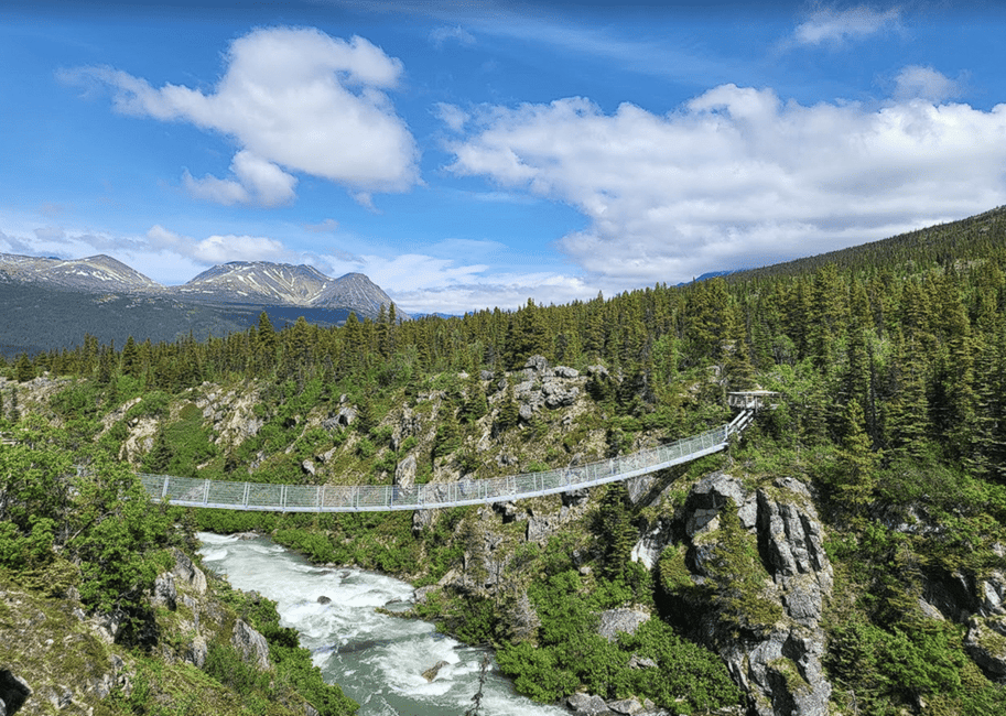 Image N°6 de Skagway : Visite en bus de la route du Klondike et du Yukon avec Husky Kennel activité à Skagway, publiée par le prestataire