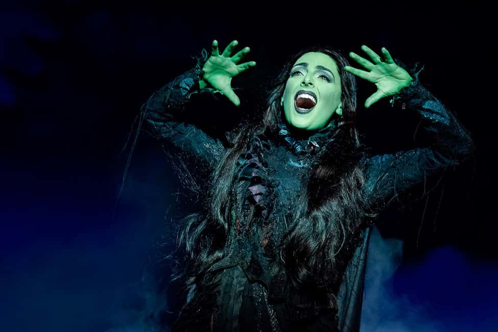 image n.11 of New York City: Wicked The Musical on Broadway activity in New York City, uploaded by supplier
