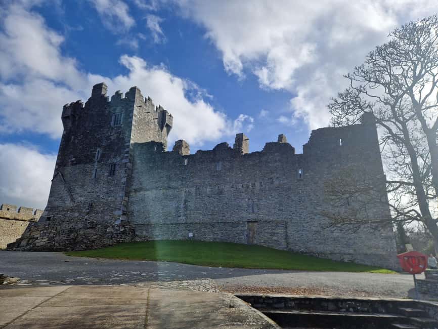 Obraz nr 25 z atrakcji Killarney: Rejs wycieczkowy na wyspę Innisfallen, jeziora Killarney w Munster, przesłany przez organizatora