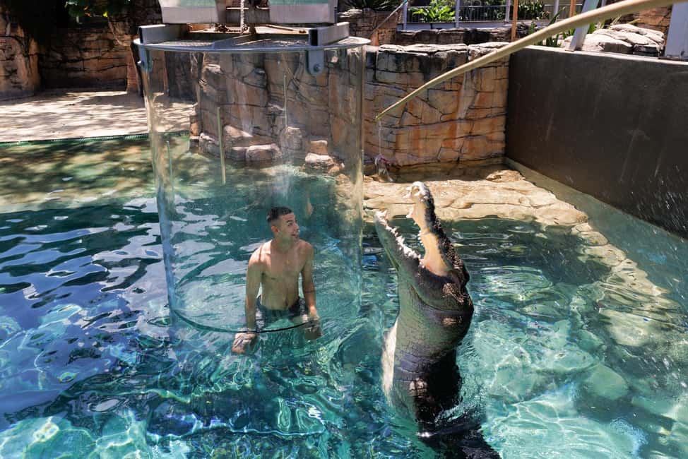 image n.9 of "Cage Of Death" Crocodile Swim and Entry to Crocosaurus Cove activity in Darwin, uploaded by supplier