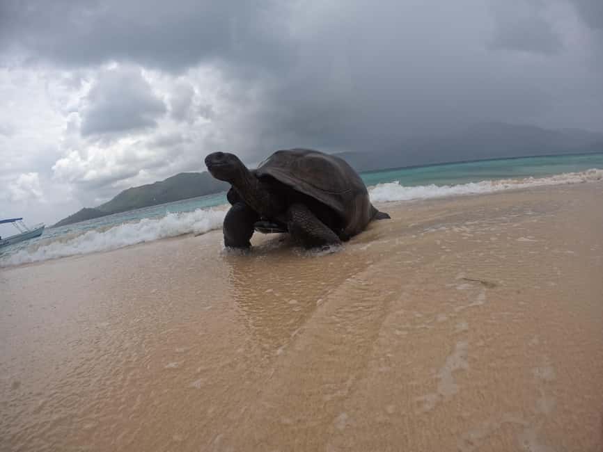 image n.4 of Island Adventure Cousin, Curieuse & St Pierre with BBQ Bliss activity in Grand Anse, uploaded by supplier