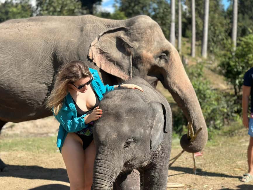 image n.22 of Chiang Mai: Elephant Sanctuary, Waterfall & Bamboo Rafting activity in Chiang Mai, uploaded by supplier