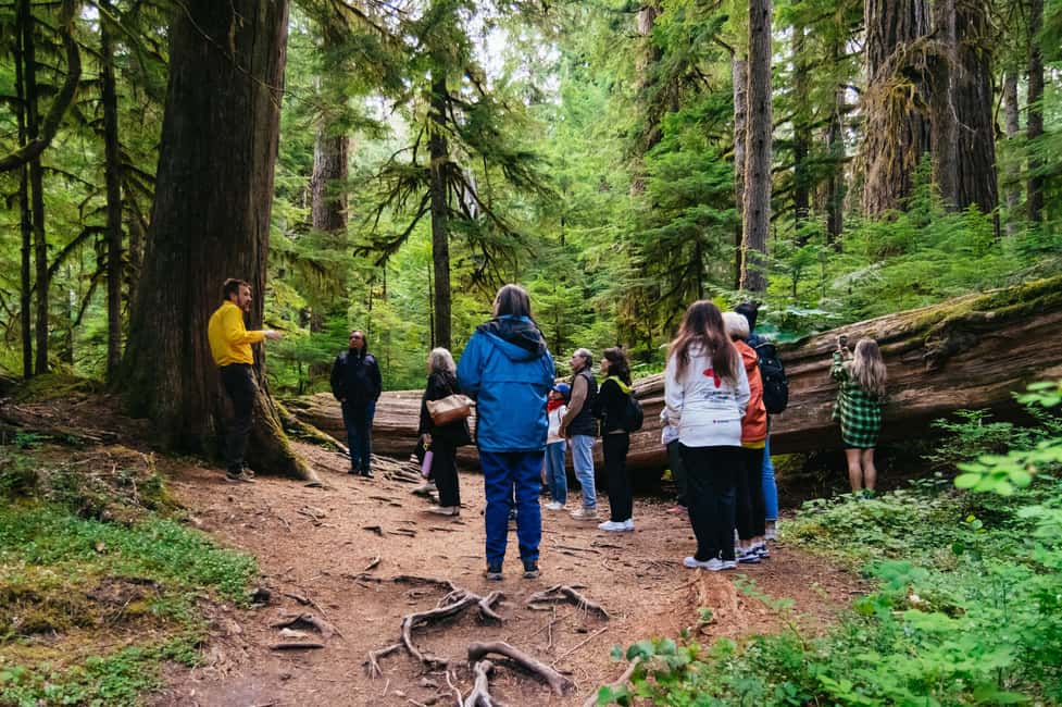 image n.8 of From Seattle: Mount Rainier National Park Guided Tour activity in Washington (State), uploaded by supplier
