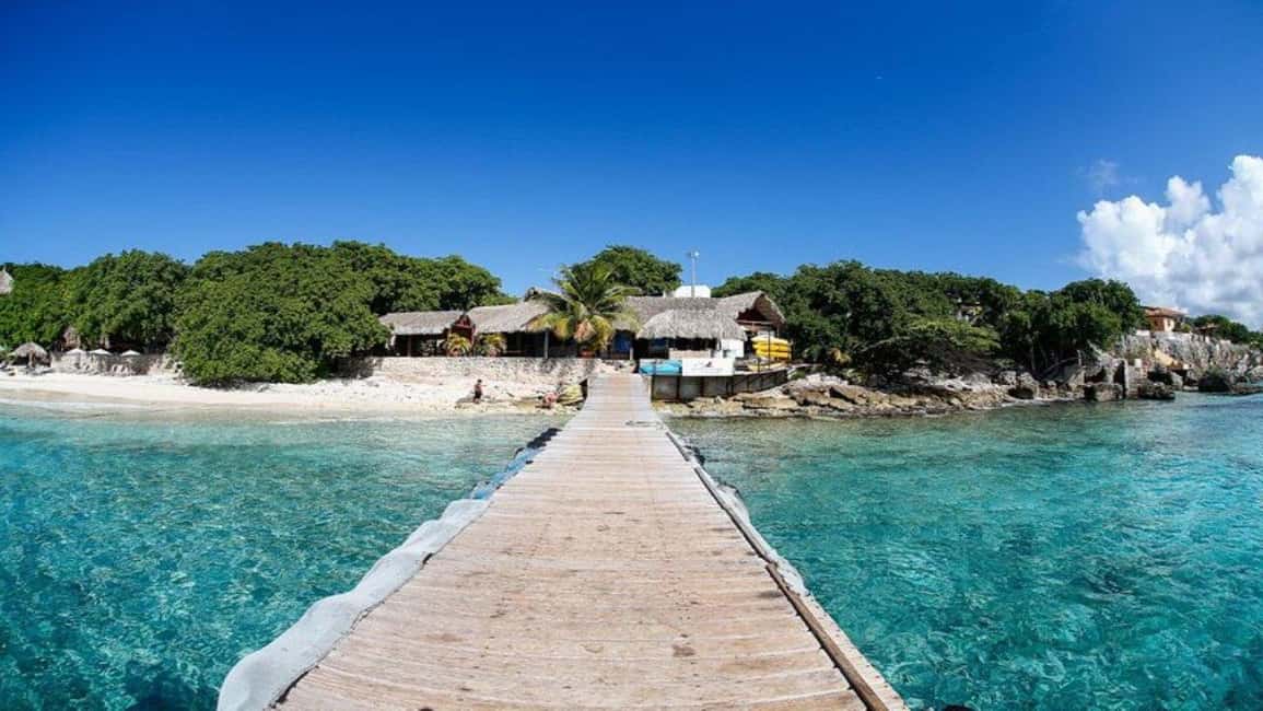 afbeelding n.5 van Willemstad: zwemmen met schildpadden en strandhoppen activiteit in Curaçao, geüpload door aanbieder